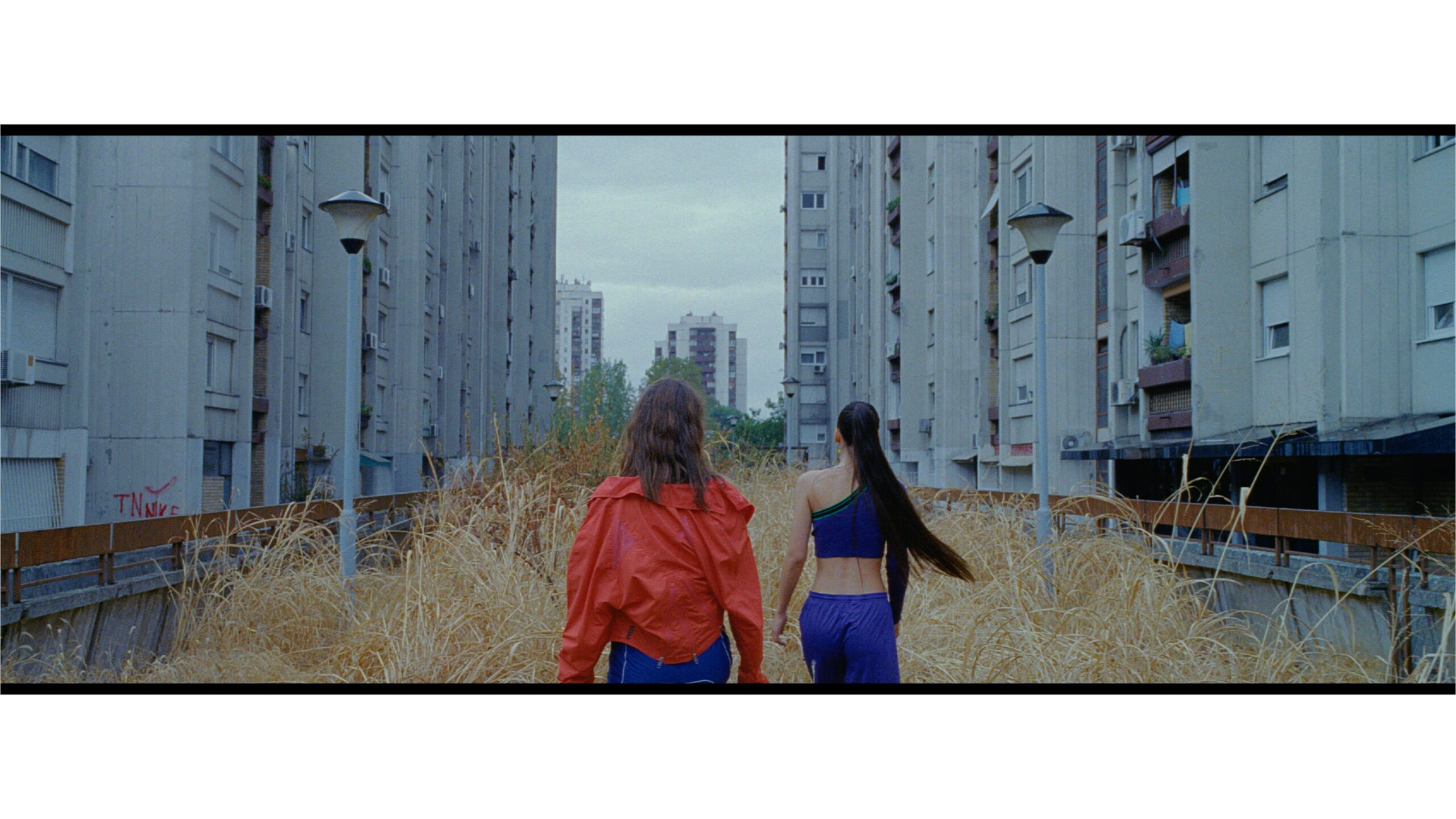 music video ngh
