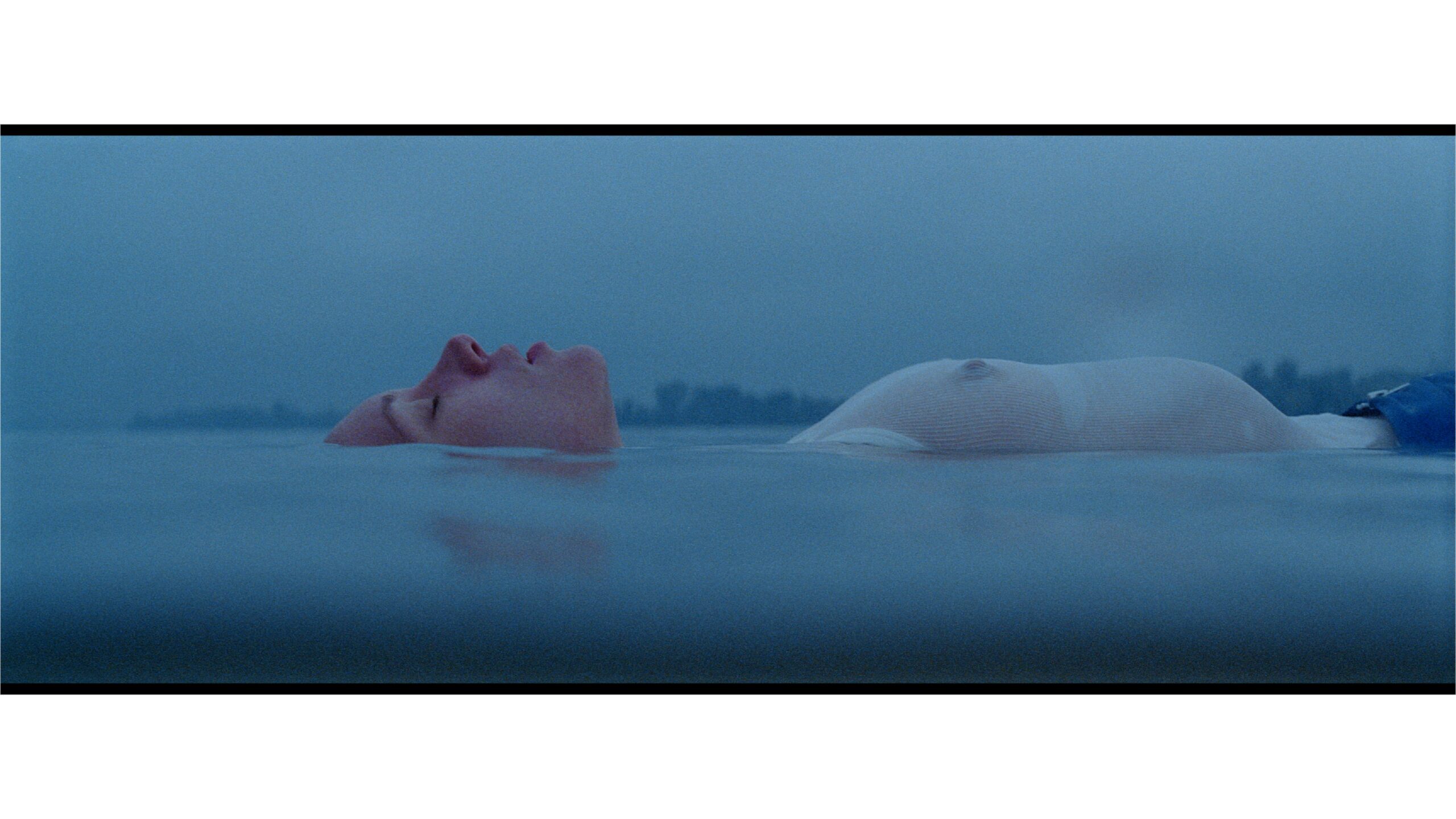 music video ngh